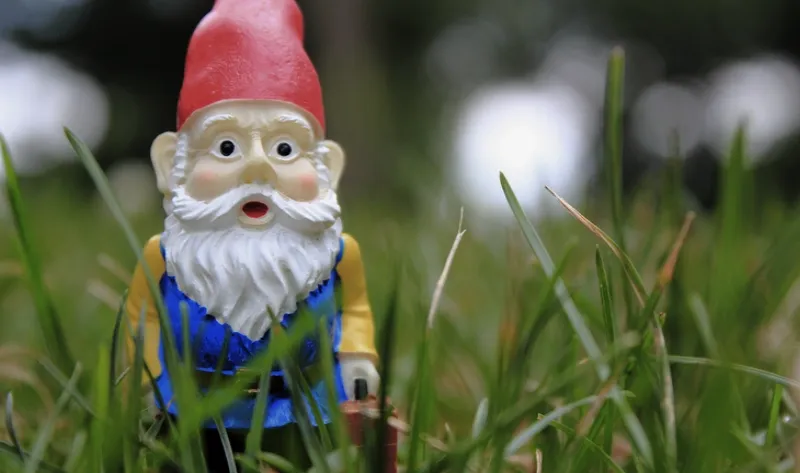 Photo d'un nain de jardin